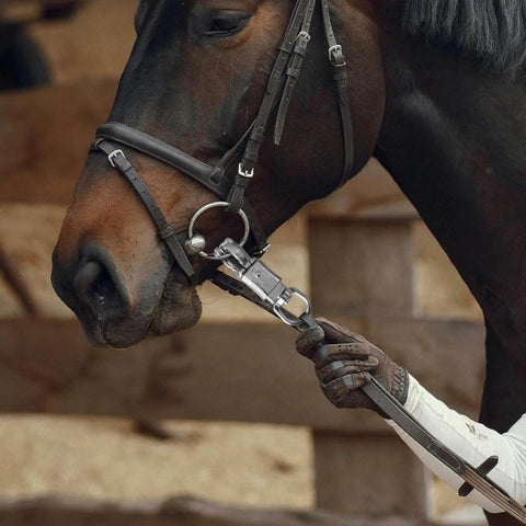 Close-up of U Type Quick Release Clip With Rotatable Eye Stainless Steel Panic Snap attached to horse bridle, used for lead ropes and tie-offs.