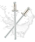 2 Piece Stainless Steel Rosette Rivets For Decorative Metal Fasteners And Door Tag Hardware Dope Look With Quick Install