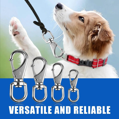 304 Stainless Steel Swivel Snap Hooks 3.5 Inch 2 Pack with dog leash shown, ideal for marine and outdoor use.