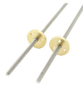 Pair of stainless steel ball screws with brass nuts, viewed from the front angle, designed for 100mm Pitch 1 Lead 1mm CNC motion application.