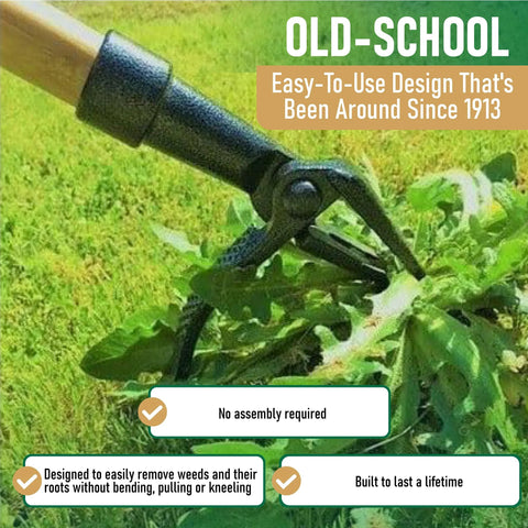 Stand Up Weed Puller With Long 45 Inch Handle And Four Claw Steel Head Made From Real Bamboo Back And Knee Friendly Weeding Tool