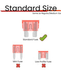 Diagram showing standard size blade fuse with comparison to mini and low profile fuses. 25 Pack 40 Amp Blade Car Fuses ATC ATO Compatible.