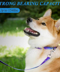 Dog with collar using 3.5 Inch Swivel Eye Bolt Snap Hooks 154 Lbs Load Capacity Zinc Alloy Heavy Duty Single Ended Flag Clips in outdoor setting