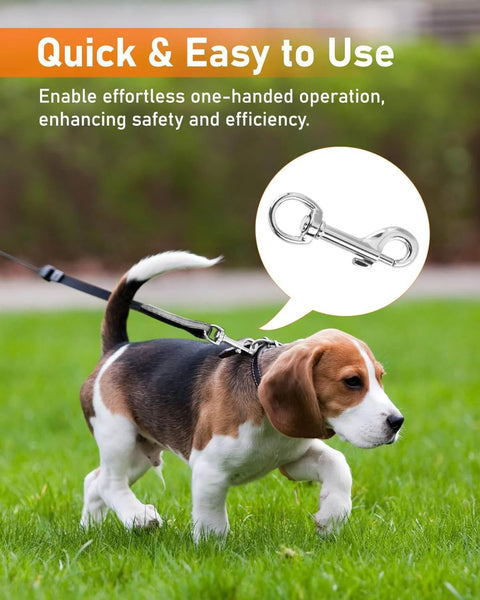 Beagle dog with 30 Pieces Heavy Duty Swivel Snap Hooks For Dog Leash 2.75 Inch Clasp With 360 Degree Rotation