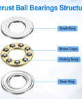 Thrust ball bearings structure showing shaft ring, brass cage, and seat ring components.