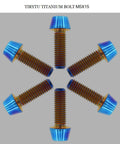 Display of ✝️ TIRYTU Titanium Bolts M5x15, corrosion resistant, burnt blue hex socket screws for bikes, motorcycles, marine use, tapered head (6PC).