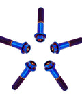 ✝️ RISON Titanium Bolts Hex Head Flange Burnt Blue GR5 Titanium Screws M6x30mm Pack of 5 shown in star layout.
