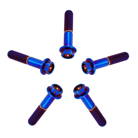 ✝️ RISON Titanium Bolts Hex Head Flange Burnt Blue GR5 Titanium Screws M6x30mm Pack of 5 shown in star layout.