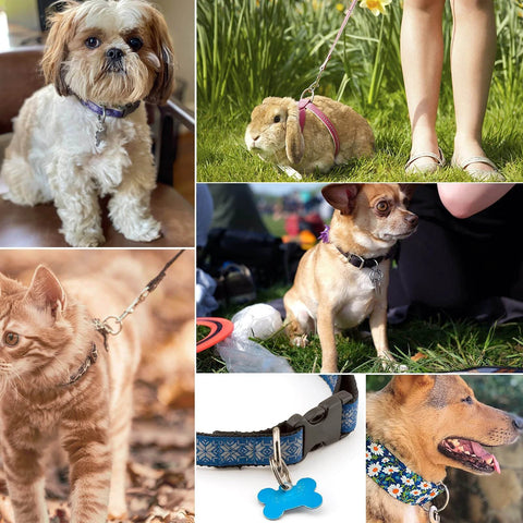 Collage of dogs, cat, and rabbit using TISUR Titanium D-Rings with Screw Shackle for leashes and collars, showcasing versatility.
