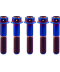 Five ✝️ RISON Titanium Bolts Hex Head Flange Burnt Blue GR5 Titanium Screws M6x30mm Pack of 5 aligned in a row.