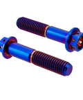 ✝️ RISON Titanium Bolts Hex Head Flange Burnt Blue GR5 Titanium Screws M6x30mm Pack of 5, close-up view