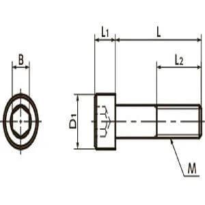 Technical drawing of ✝️ SNST-M4-10 NBK Hex Socket Head Cap Screws - Titanium- Made in Japan with dimensions, showing front and side view.