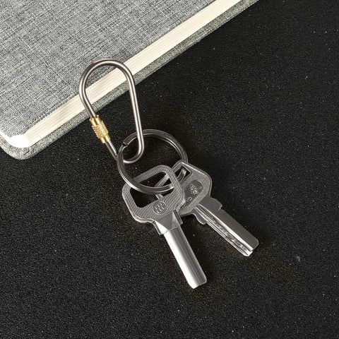 ✝️ Skylety 10 Pieces Mini Titanium Locking Clips D-Ring Locking Snap Keychain Keyring Screw Lock Buckle with keys attached