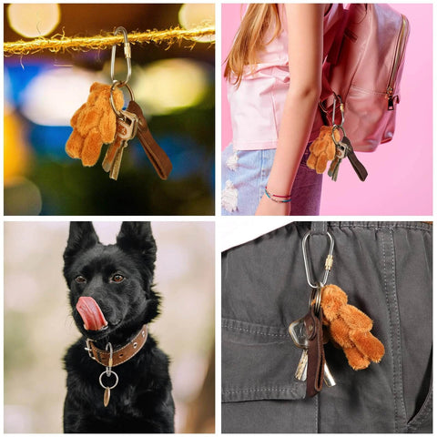 Skylety 10 Pieces Mini Titanium Locking Clips D-Ring Locking Snap Keychain Keyring on keys attached to bag, dog collar, and belt.