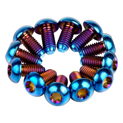 12 Pcs M5x10 Titanium Torx Bolts for Bicycle Disc Brake Rotors with T25 Torx Head in Burnt Blue Finish