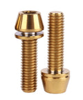 6 pcs titanium M5 x 18mm tapered head hex bolts with washers for bicycle stem shown in close-up