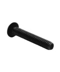 ✝️ RISON Titanium Screws M2.5x3mm Screws ISO7380 Button Head Hex Socket Cap, black titanium bolt