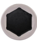 Top view of 1/2 DR 19MM-3/4 100 FT/LB TORQUE LIMITING SOCKET showing hexagonal shape in chrome molybdenum steel.
