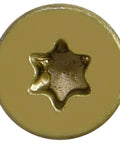 Close-up of a Torx star drive head of a Self Drilling Tek Screw 14 X 3 1 4 Inch for wood to metal fastening, bronze coated.