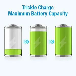 Illustration showing battery charging levels with text 'Trickle Charge Maximum Battery Capacity' for 12 Bay Independent Fast Charging Battery Charger For AA AAA 9V NiMH NiCd LCD