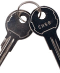 Two keys on a ring for Two Pack Keyed Alike Truck Tool Box Locks With Keys Replacement Lock Cylinders For Lift Up Paddle Latch