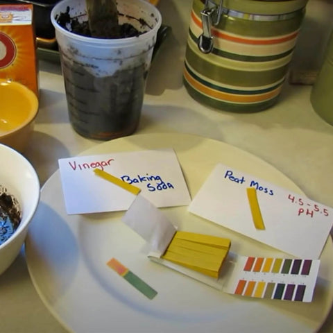 2 Pack pH Test Strips, 160 Strips pH.1-14 Universal pH Test Paper shown with test samples and color chart on a table