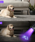 Portable 395nm UV Flashlight Ultraviolet Black Light Mini USB Rechargeable With Metal Body highlighting pet urine stains on carpet