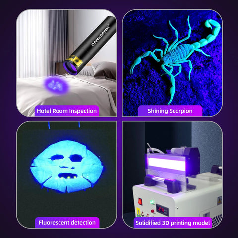 Ultra compact 395nm UV flashlight, USB-C rechargeable in 1 hour, delivering powerful 1300mW for quick pet urine and stain detection, resin curing, and fluorescence tasks, pocket sized for on the go cleanup and inspection.