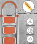 Image of a ladder with a focus on corrosion protection and load capacity. Features from 510Pcs Wall Hanging Kit with Anchors and Screws.