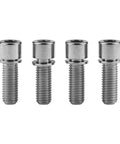 Wanyifa Titanium Ti Bolt M7 x 20mm Allen Head with Washers Bike Screws Pack of 4 lined up on a white background