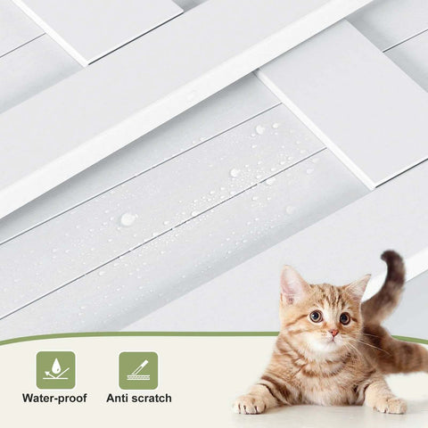 Close-up of Double 24 Inch Bi Fold Barn Door Set with white PVC surface showing waterproof and anti-scratch properties, with a cat in the foreground.