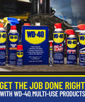Collection of WD-40 products including All Purpose Lubricant That Drives Out Moisture and Fights Rust, Protects Metal From Corrosion