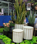 Rust Resistant Iron Plant Pot Stand Set For Indoor And Outdoor Use with white finish and decorative planter frames on display