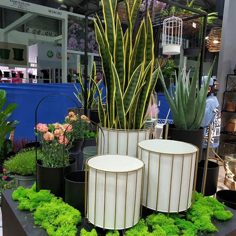 Rust Resistant Iron Plant Pot Stand Set For Indoor And Outdoor Use with white finish and decorative planter frames on display