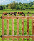 Wooden gate with Heavy Duty Gate Hinges, 2Pack High Strength Steel with Electroplated Finish, in a green pasture setting.