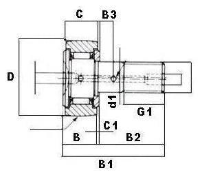 1-1/4 CR20Roller mit Nockenstößel – Lager online kaufen – Schneller Versand innerhalb der USA